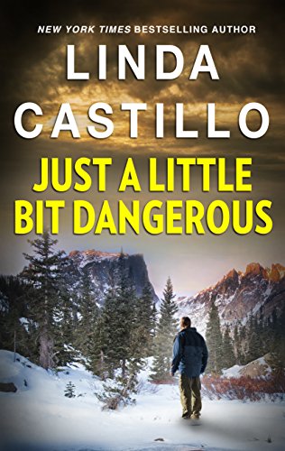 Just a Little Bit Dangerous (Silhouette Intimate Moments)