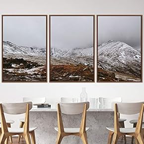 signwin 3 Piece Framed Canvas Wall Art Snow...