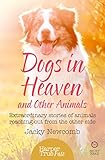 Dogs in Heaven: and Other Animals: Extraordinary stories of animals reaching out from the other side by Jacky Newcomb