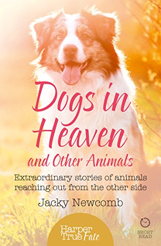 Dogs in Heaven: and Other Animals: Extraordinary stories of animals reaching out from the other side by Jacky Newcomb