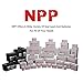 NPP FT12-100Ah Front Access AGM Deep Cycle AGM 12V 100Ah Telecom UPS Back Up Solar Energy Power Battery with Button Style Terminals (2 Pack)