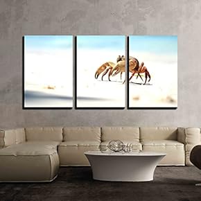 3 Piece Canvas Wall Art - The Crab on The Beach - Modern Home Art Stretched and Framed Ready to Hang - 16"x24"x3 Panels