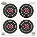 Birchwood Casey Dirty Bird Round Target (Pack of 12), 6-Inch