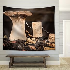 Concept Explaining Fungal Knowledge with Wine Cork Figure - Fabric Wall Tapestry Home Decor - 51x60 inches