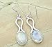 12.00ctw, Genuine Rainbow Moonstone & 925 Silver Plated Dangle Earrings Made By Sterling Silver Jewelry