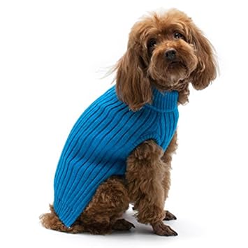 Puppy Pawer Basic Turtleneck Sweater