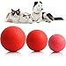 Original Fetching and Tugging Exercise Rubber Ball Pet Toy