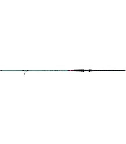 Amazon.com : Daiwa TD Surf Spinning Rod 9ft Medium Heavy 2 Piece