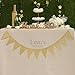 Ling's moment 10 Feet Paper Pennant Banner Triangle Garland Glitter Gold Banner Vintage Bunting Banner for Gold Party, Wedding, Wall Decor, Birthday Party, Baby Shower, 15 Pcs,