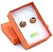 Small Cute Happy Halloween Fall Thanksgiving Pumpkins Post Stud Earrings