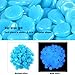 ATPWONZ 100 Pcs Fish Tank Rocks Glow Blue with Fish Net for Outdoor Decor, Aquarium Gravel, Fish Tank, Walkway Driveway Plant Pots Yard Garden Decoration(Glow Blue in The Dark)thumb 4