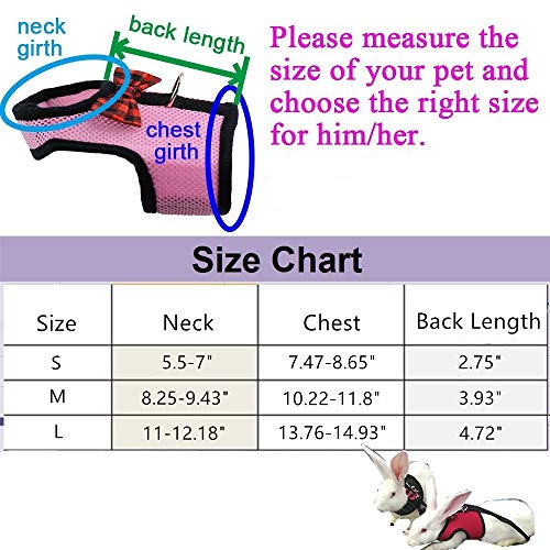 3 Harness+Stylish+Adjustable+Breathable+Walking
