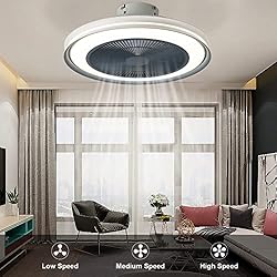 EIHIWD 20in Ceiling Fan with Lights Remote Control