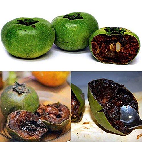 Portal Cool 10Pcs Rare Diospyros Digyna Black Sapote Persimmon Chocolate Pudding Fruit Seeds