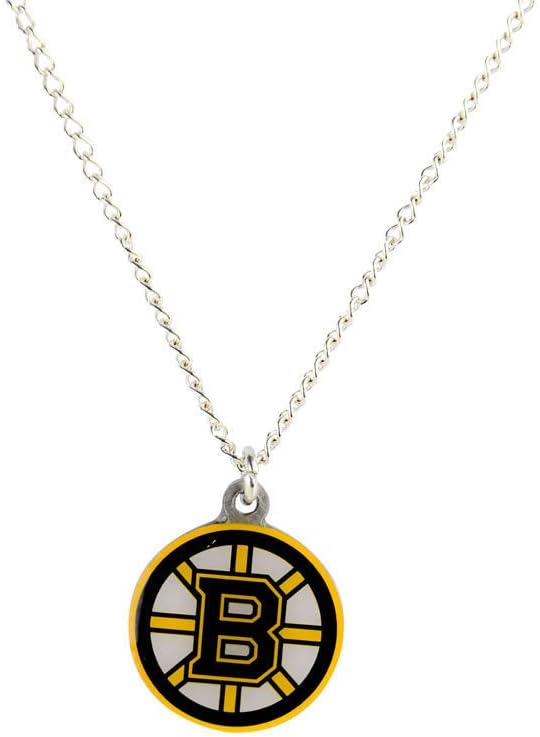 Aminco NHL Boston Bruins Team Logo Pendant Necklace : Sports Fan Necklaces : Sports & Outdoors