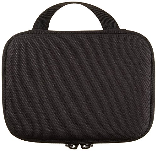 AmazonBasics-GoPro-Carrying-Case