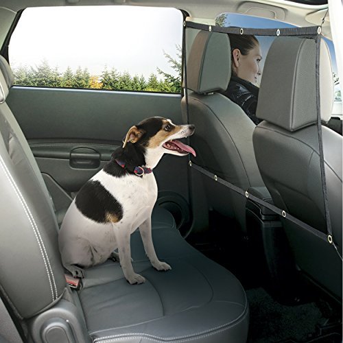 Pet Parade Vehicle Safety Net