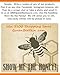 Bee Sunny SPF 35 Mineral Powder Sunscreen Zinc Oxide & Titanium Can from Queen Bee
