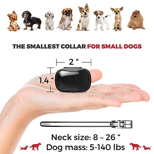Enrivik Small Size Dog Training Collar with Remote Perfect for Small Dogs 515lbs Waterproof