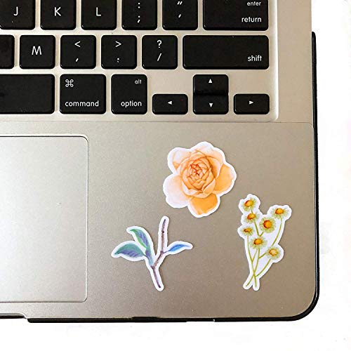 6 Watercolor+Stickers+Scrapbook+Navy+Peony