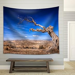 Parched Tree in The Desert Landscape-Spain, Almeria - Fabric Wall Tapestry Home Decor - 51x60 inches