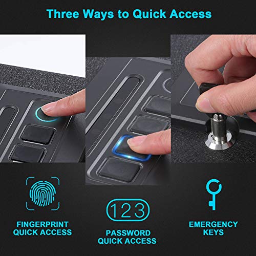 Dalmbox Biometric Gun Safe Gun Vault Fingerprint Pistol Safe