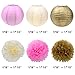 Tissue Paper Pom Pom Flowers and Paper Lanterns Party Decoration, 12 Pieces (Style A)