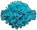 QandSweet Baby Girl's Headbands with Chiffon Lotus Flower Soft Nylon Headwraps for Take Pictures (Camellia Flower 15Pcs)