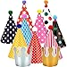 Maxdot 22 Pieces Party DIY Cone Hats Polka Dots Birthday Paper Cone Hats and Crown Hats with Lovely Pom Poms for Party Supply