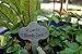 Bosmere Wren Professional 6-1/2-Inch Stainless Steel Re-Usable Plant Labels, 12-Pack