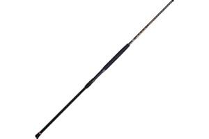 PENN Squadron III Surf Spinning Fishing Rod