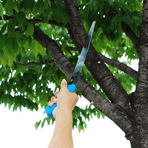 Samurai Challenge 240mm Pruning Saw Scabbard Fine