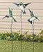 Hummingbird Lawn Stakes, Set of 3 by Maple Lane CreationsTM