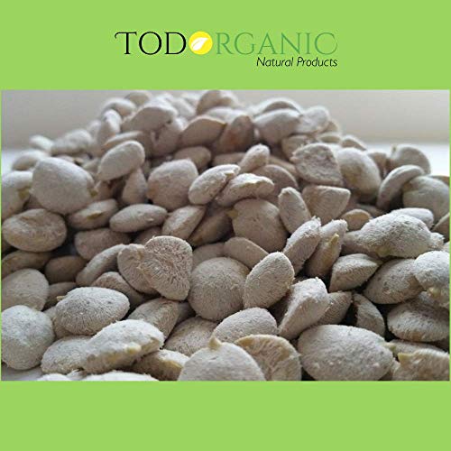 10 Pack Indian Nut 120 Seeds for Weight Loss Original Nut - Indian Seeds