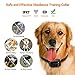 iPetDog Dog Training Collar Dog Shock Collar with Remote 330yd Rechargeable Vibration E Collars for Dogs (Black)