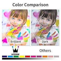 AceInk Compatible LC3019 XXL 2 Packs Black Ink
