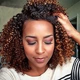 RUISENNA Afro Kinky Wig Short Curly Wigs Black and Brown Ombre WigS for balck Women 100% Heat Resistant Fiber Synthetic Wigs