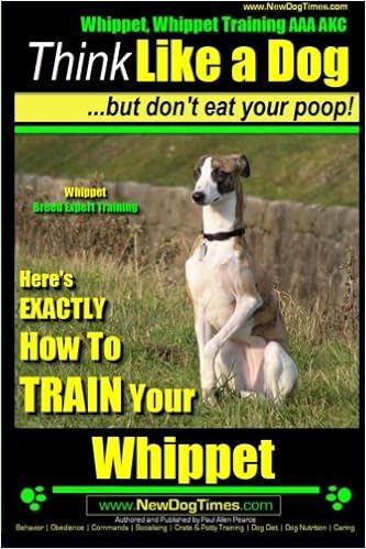 Whippet, Whippet Training AAA AKC: Think Like a Dog, but Don�ft Eat Your Poop! | Whippet Breed Expert Training |: Here�fs EXACTLY How to Train Your Whippet  �y�[�p�[�o�b�N - 2014/3/27