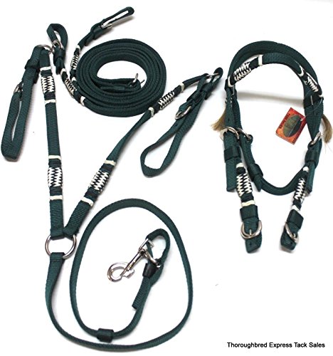 Hunter Nylon w/ Braided Rawhide Trim Bridle w/ Breast Harness Horse Tack Equine