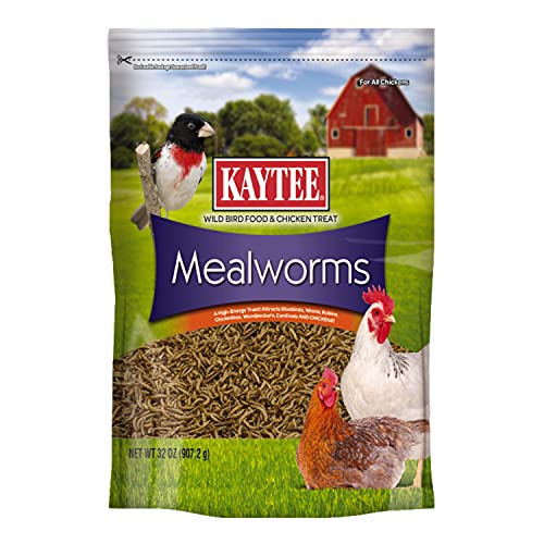 Kaytee Wild Bird Food Mealworms For Bluebirds, Wrens, Robins