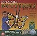 Giant Inflatable Butterfly Life Cycle Stages 4 Piece Set w/ 21 Inch Butterfly