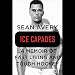 Ice Capades: A Memoir of Fast Living and Tough Hockey by 