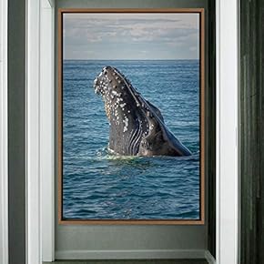 signwin Framed Canvas Wall Art Fish on The...