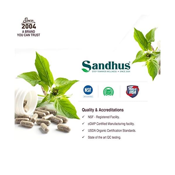 Vasaka Lungs & Respiratory Support Supplement with Holy Basil, Black