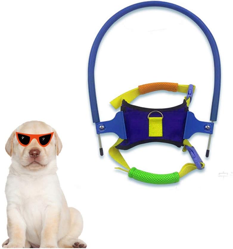 Hengzhi Pet Safe Halo Harness for Blind Dogs Plastic