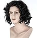 Diy-Wig Northern Snow King Wig Short Black Curly Cosplay Wigs for Men Cosplay Halloween Mens Costumes
