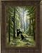 Spirits Of The Forest by Lucie Bilodeau 17x21 Black Bear and Cubs Art Print Wall Décor Framed Picture