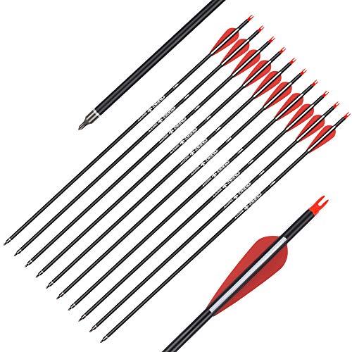 image for TY Archery 26 inch Carbon Arrow Hunting Arrows with 100 Grain Removabl