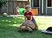 WALIKI Hopper Jumping Ball for Kids Ages 3-6 | 18” Outdoor Toy for Backyard Games & Tag Play | Active Play Ball Yellow