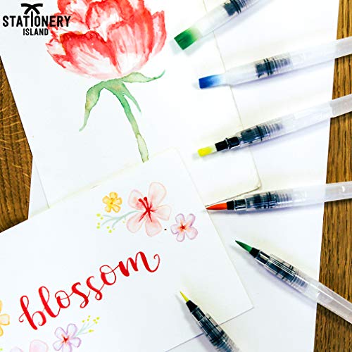 Stationery Island Aqua Brushes Pack of 6 Assorted Nibs. Refillable